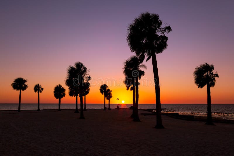 silhouette-palm-trees-vivid-colourful-sunset-pine-island-hernando-county-florida-pine-island-florida-clear-sunset-106549234.jpg