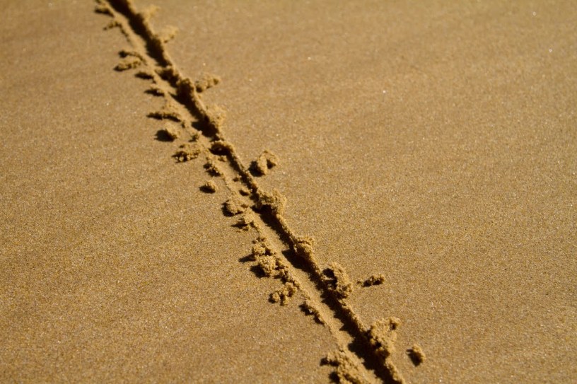 line-in-sand.jpg